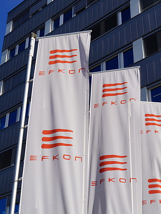 Photo shows flags in front of building